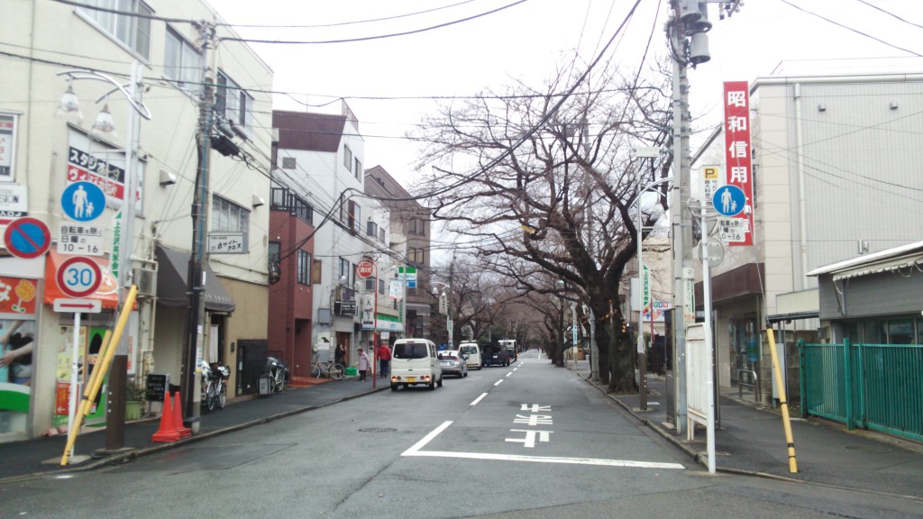 上北沢駅前　桜並木