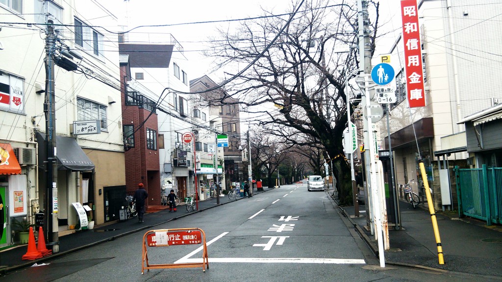 上北沢桜並木