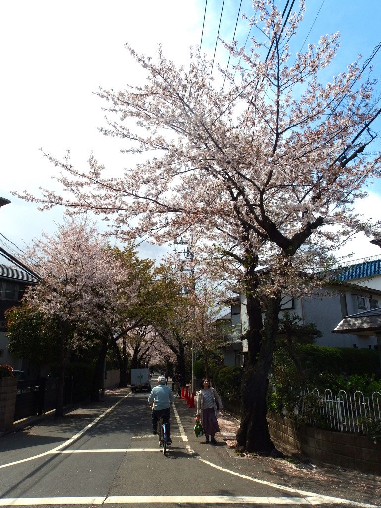 第２８回上北沢桜祭り