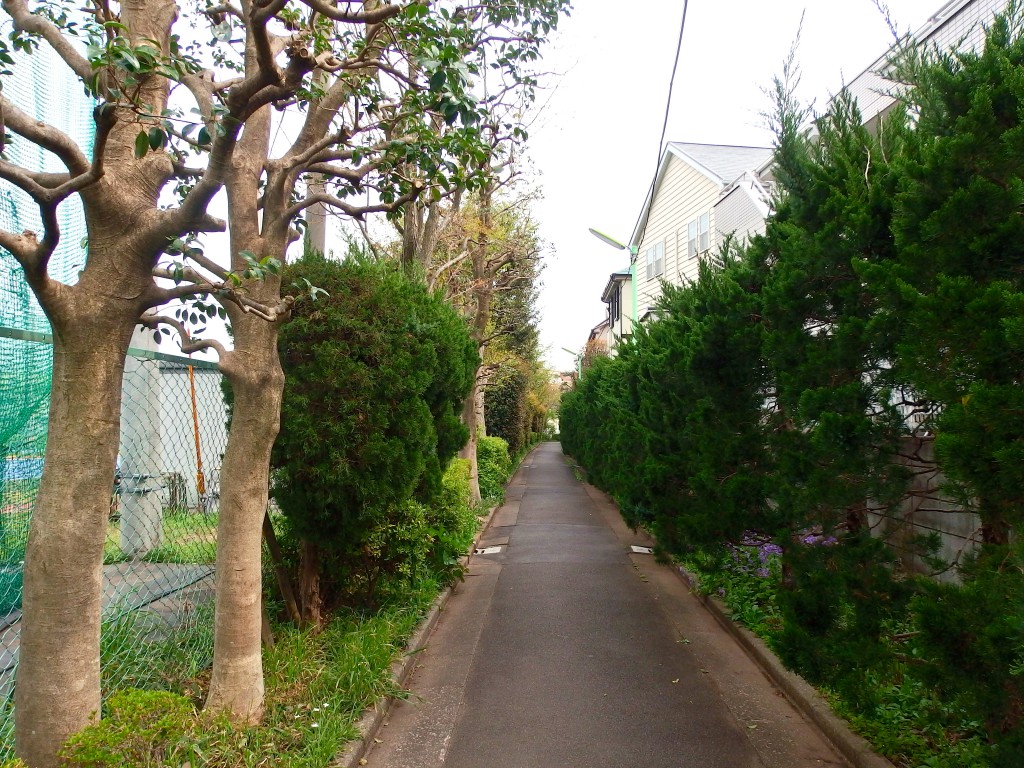 北沢川緑道