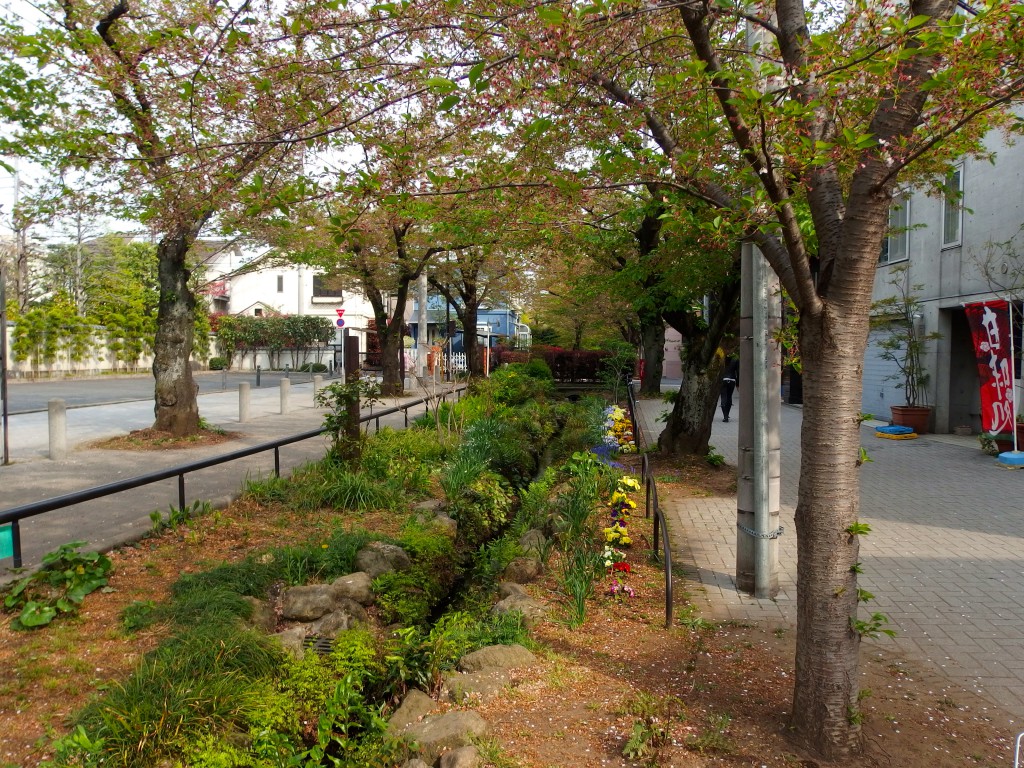 北沢川緑道