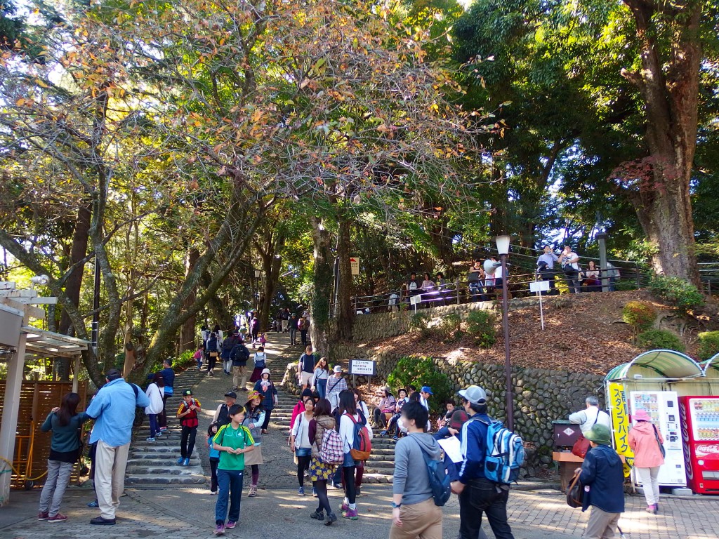 高尾山 エコーリフト 山上駅