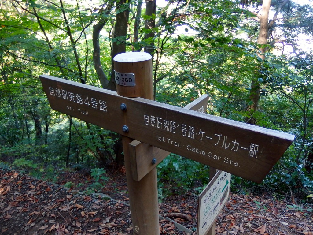 高尾山 4号路 上り