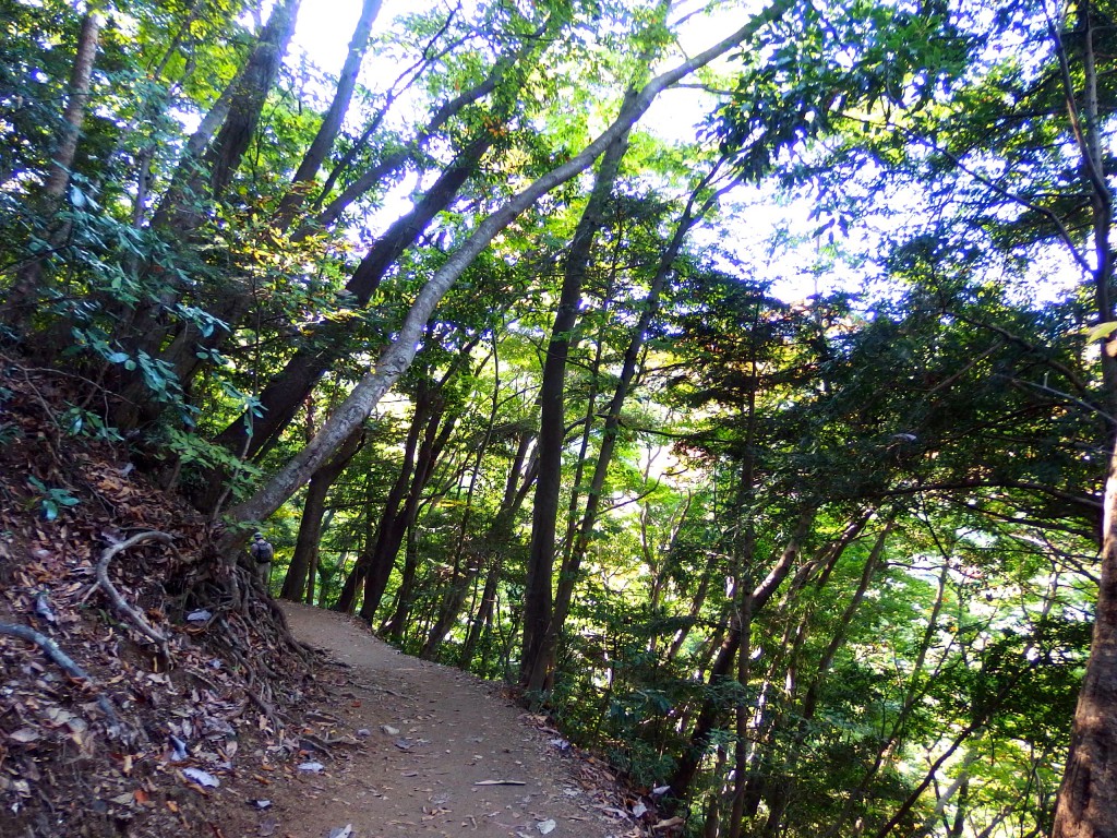 高尾山 4号路 上り