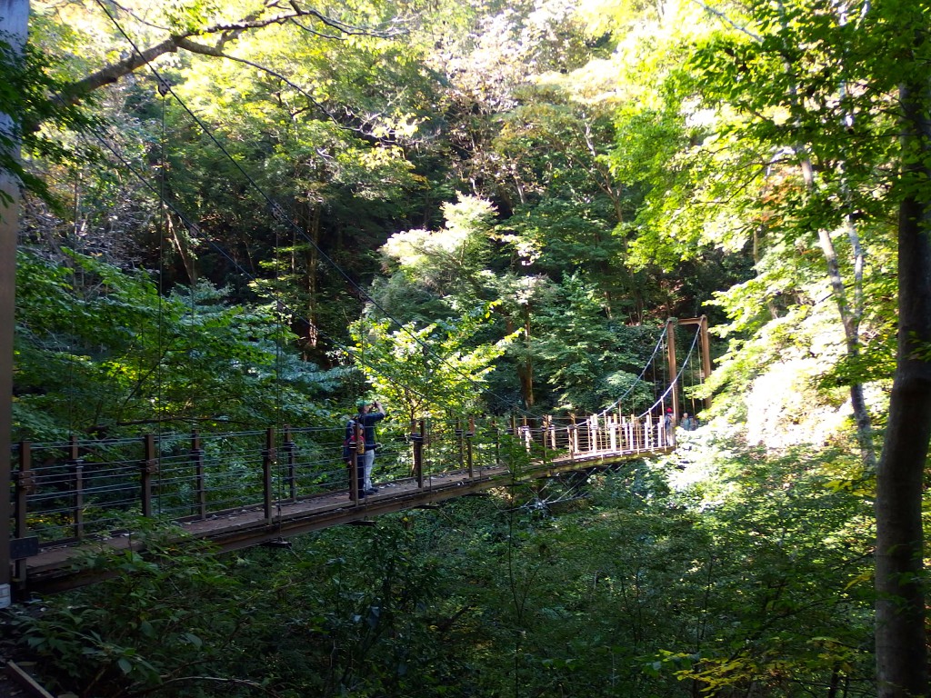 高尾山 4号路 上り 吊り橋