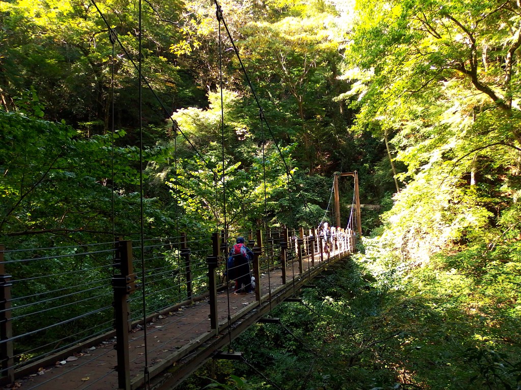 高尾山 4号路 上り 吊り橋