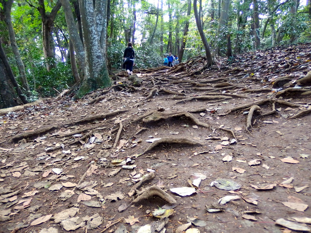 高尾山 4号路 上り