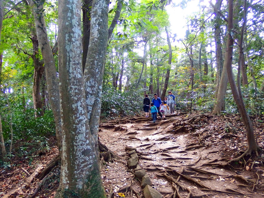 高尾山 4号路 上り