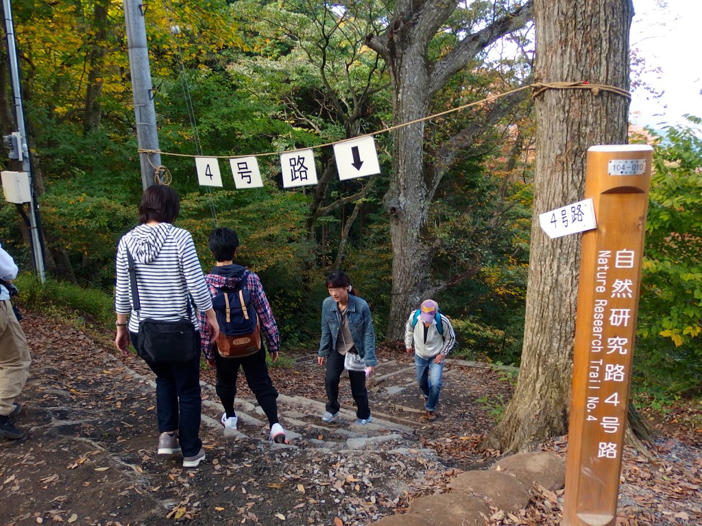 高尾山 4号路 上り