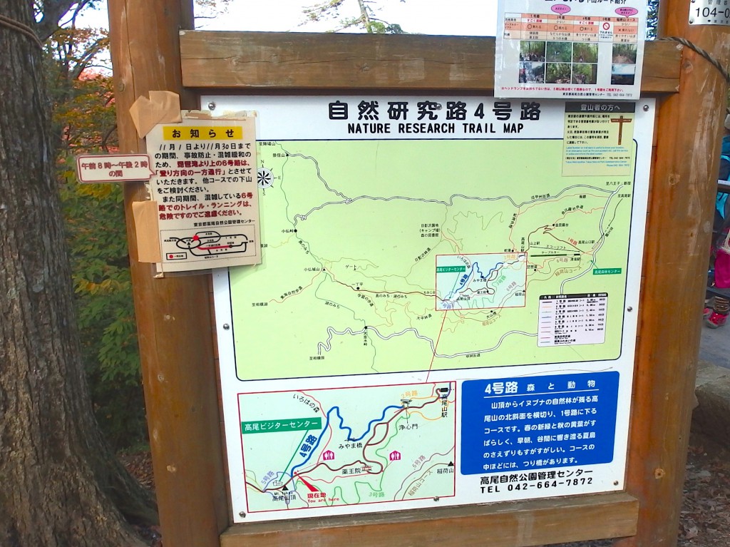 高尾山 4号路 上り