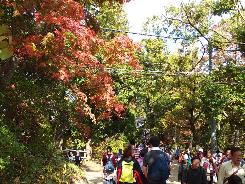 高尾山 山頂